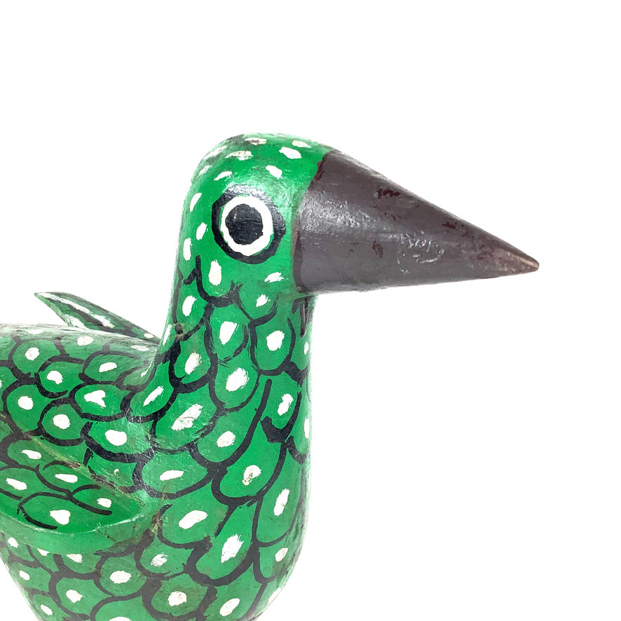 Oiseau "Grön" Fågel