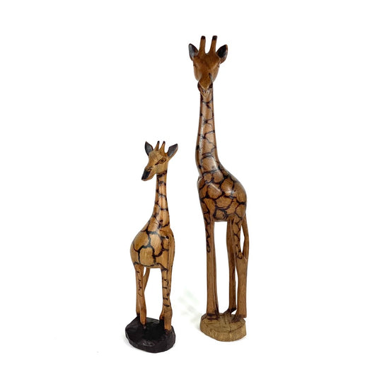 Giraffer
