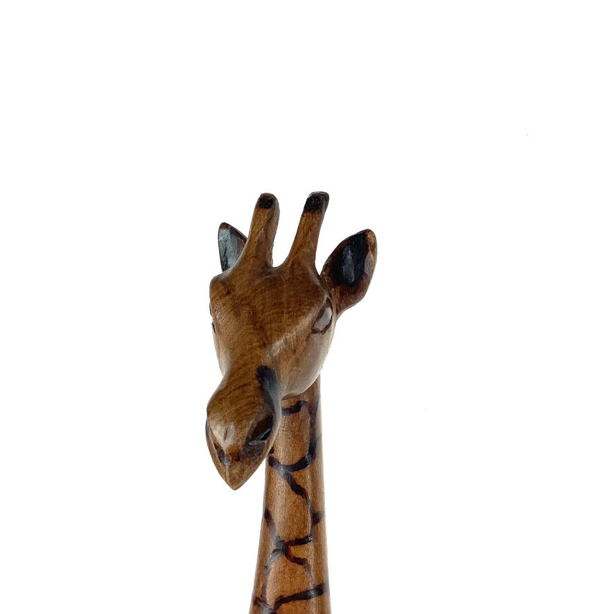 Giraffer