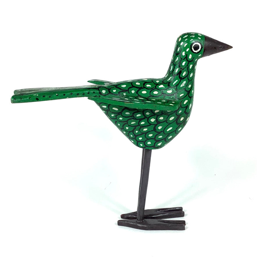 Oiseau "Grön" Fågel