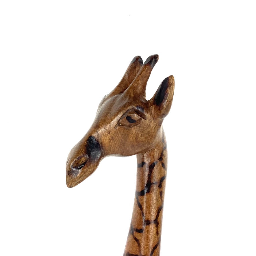 Giraffer