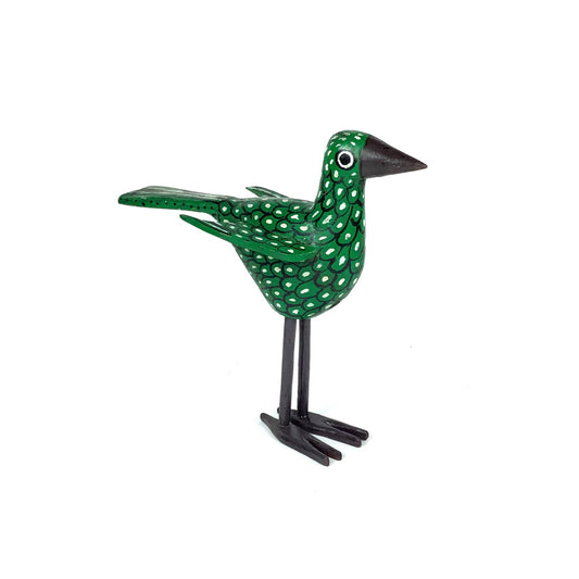 Oiseau "Grön" Fågel